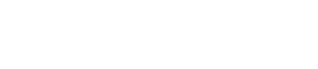 Willows Consulting Retina Logo