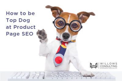 Product Page SEO Guide