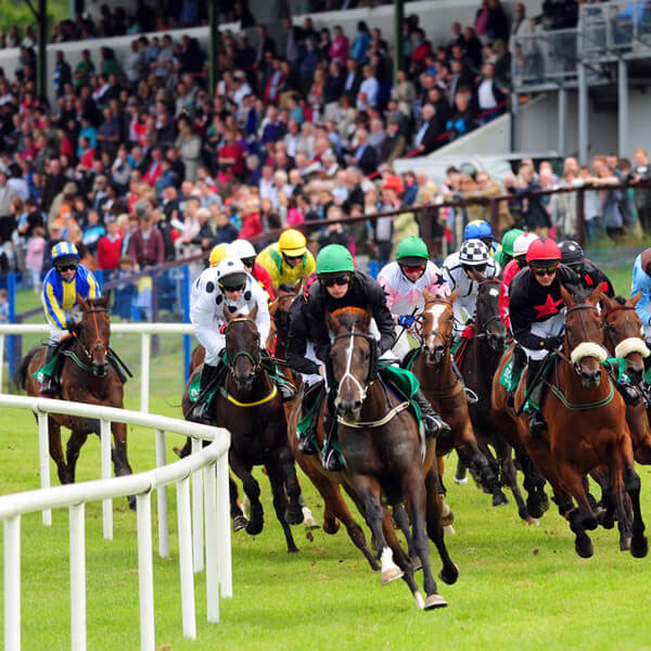 Irish Horse Race Board